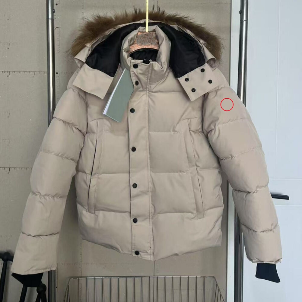 Canadian Gosse Doudoune Hooded Jacket Puffer Jacket Duck Down Woman Jackets Warm Outdoor Parkas Unisex Style Outdoor Outfits Jackets Canadian Goces