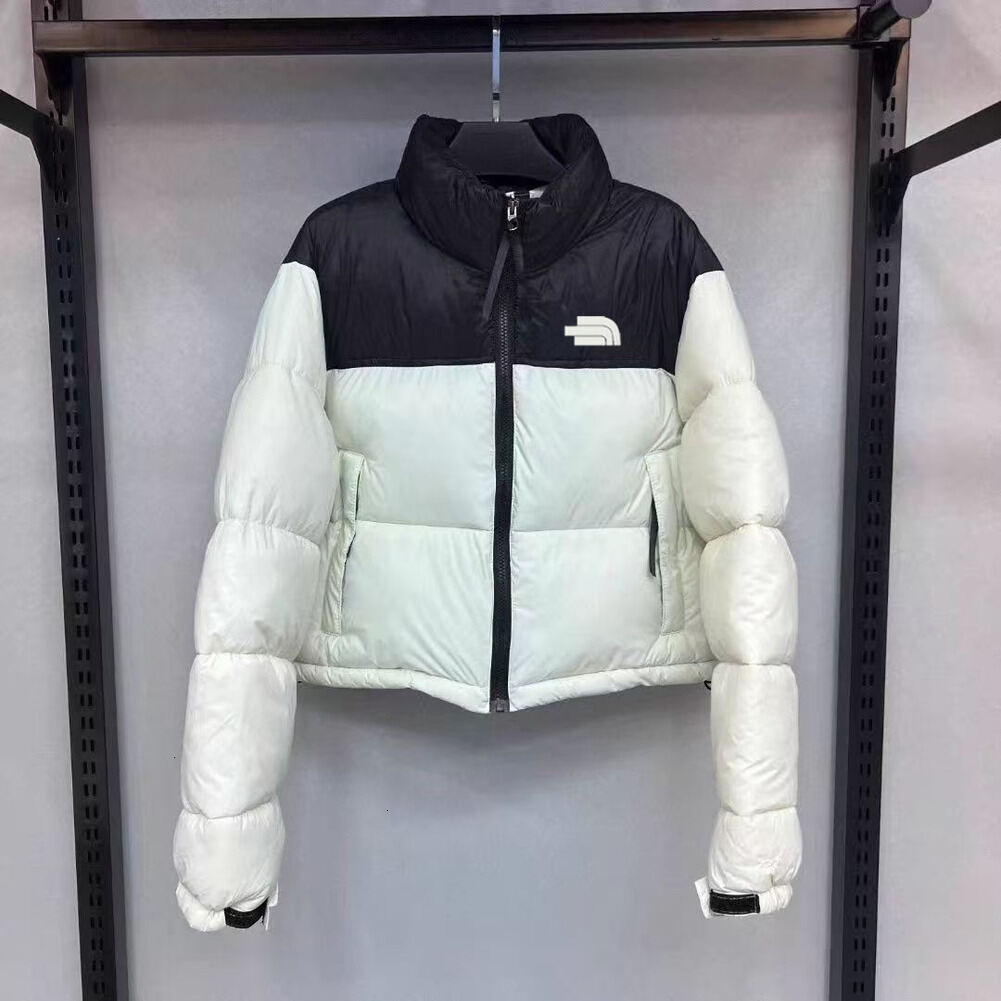 Northa Faced700 Doudoune Puffer Jacket Men Down Jackets Designer Northe Facelyness Jacket Unisex Long Sleeve Zipper 700 Hooded Winter Puffer Jacket