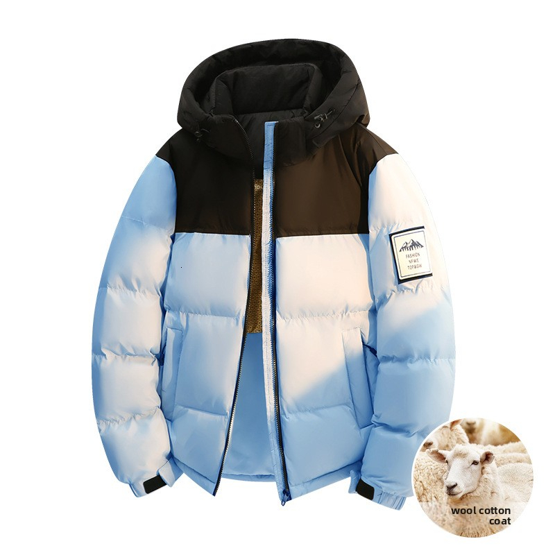 New Winter Collection: Men's Short,clean fit regular fit High-Quality, Lightweight, Warm Quilted Jacket With A Hood And Color-Block Design Hong