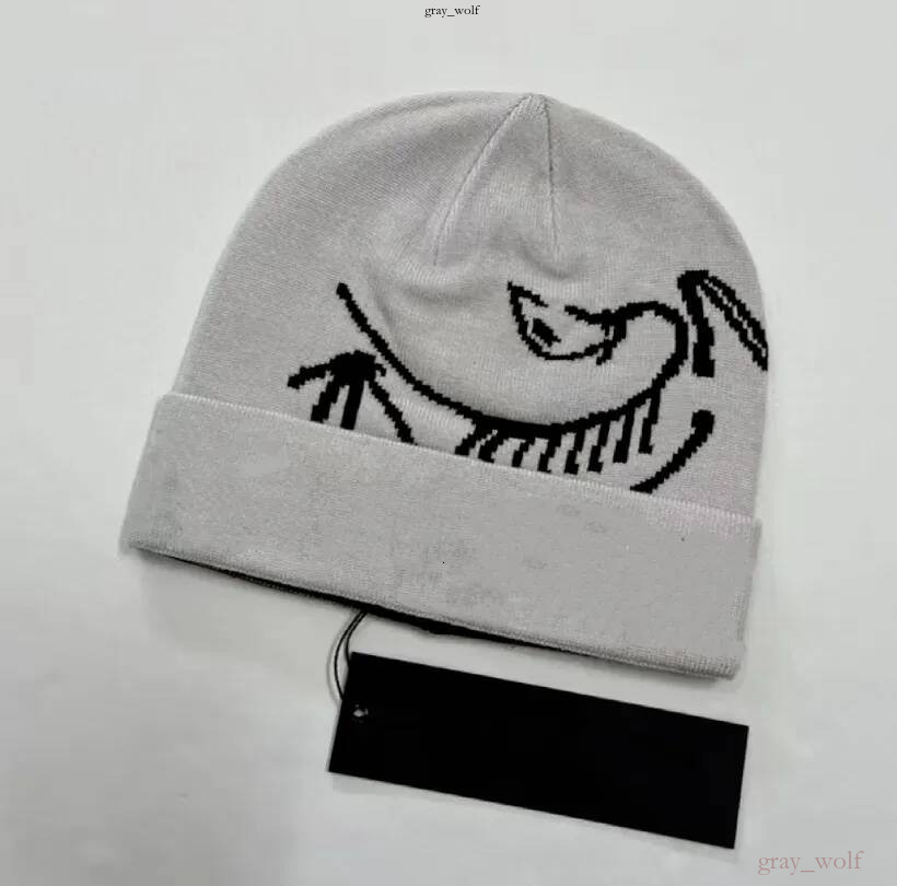Arc Teryxlys Winter Hat Classic arc Beanie women Designer Beanies Bonnet Luxe Skull Cap Casquette Knitted Fitted Hats for Men Luxury Muts Berretto f
