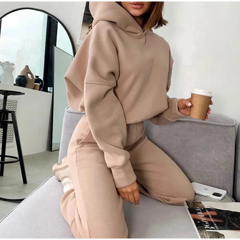 Pullover Hooded Tracksuit Women Two Pieces Pant Sets Sweatshirts Pockets Pants Suit Thick Elastic Waist Spliced Sporty Autumn 261016