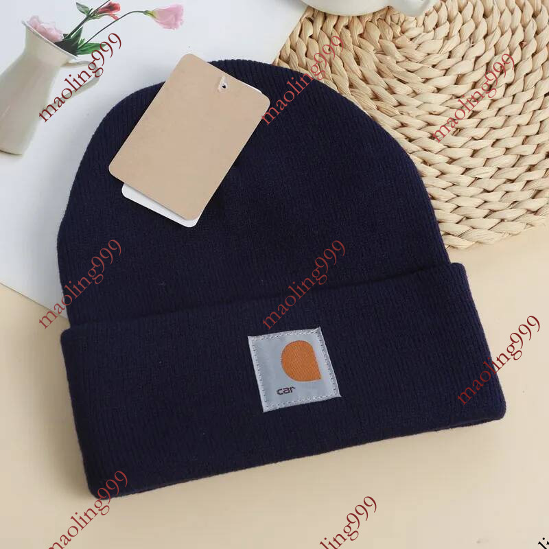 Fashion Designer beanies Men women beanie fall/winter thermal knit hat ski brand bonnet High Quality Skull Hat Luxury warm cap