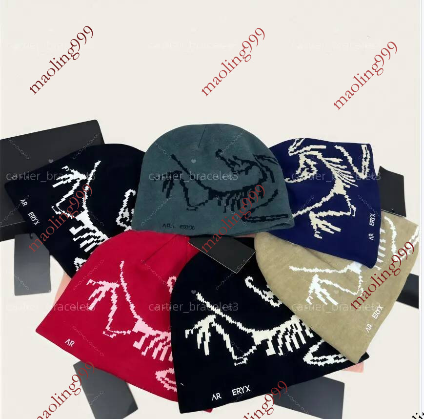 arc designer wool luxury cashmere hat embroidered ancient bird pattern street fashion brand beanie autumn and winter warm ski hats b4