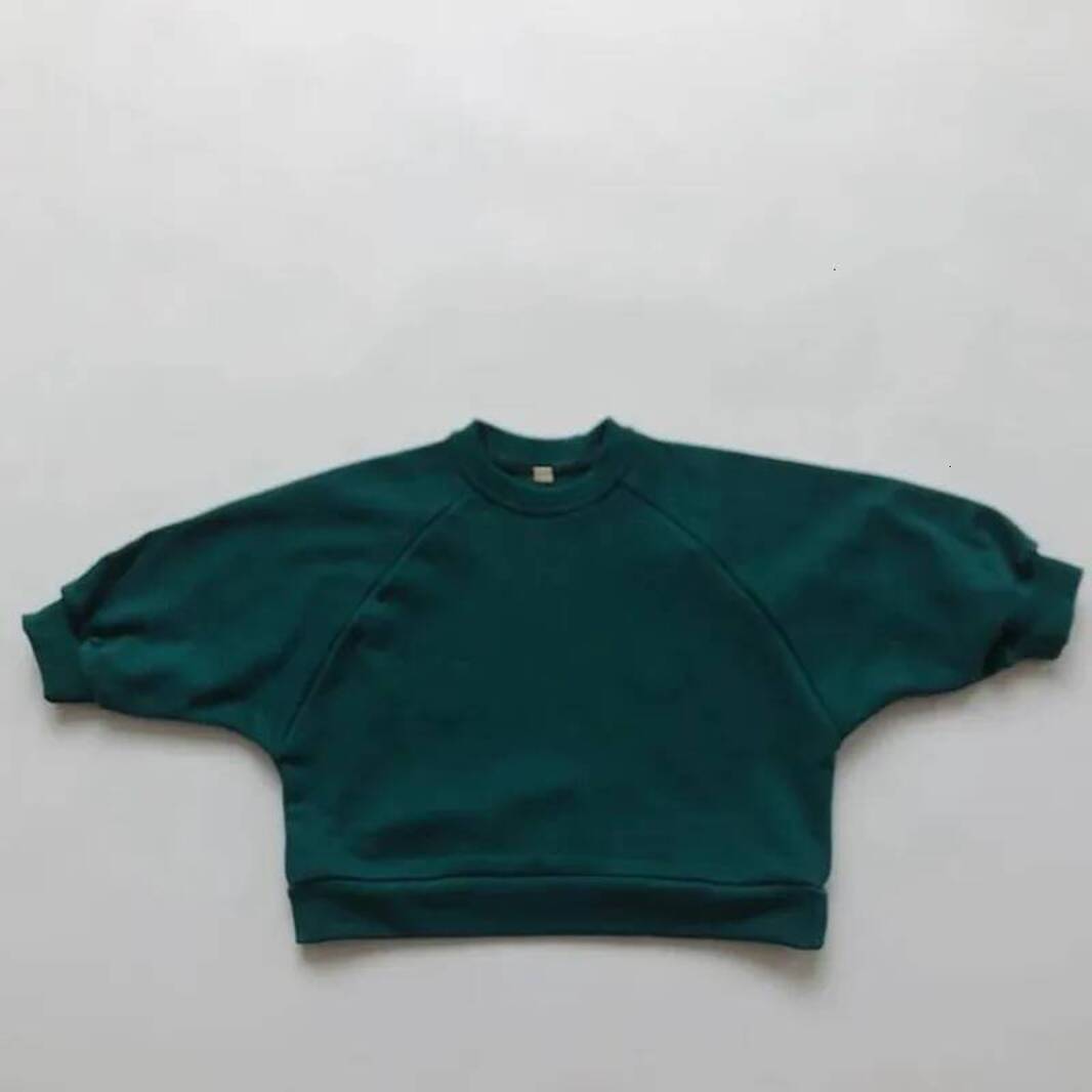 Girls Hoodie Children Clothing Japan Korean Style Autumn Spring Baby Girls Boys Casual pullover Long Sleeve Sweatshirts T Shirt Kids Pullover Tops C
