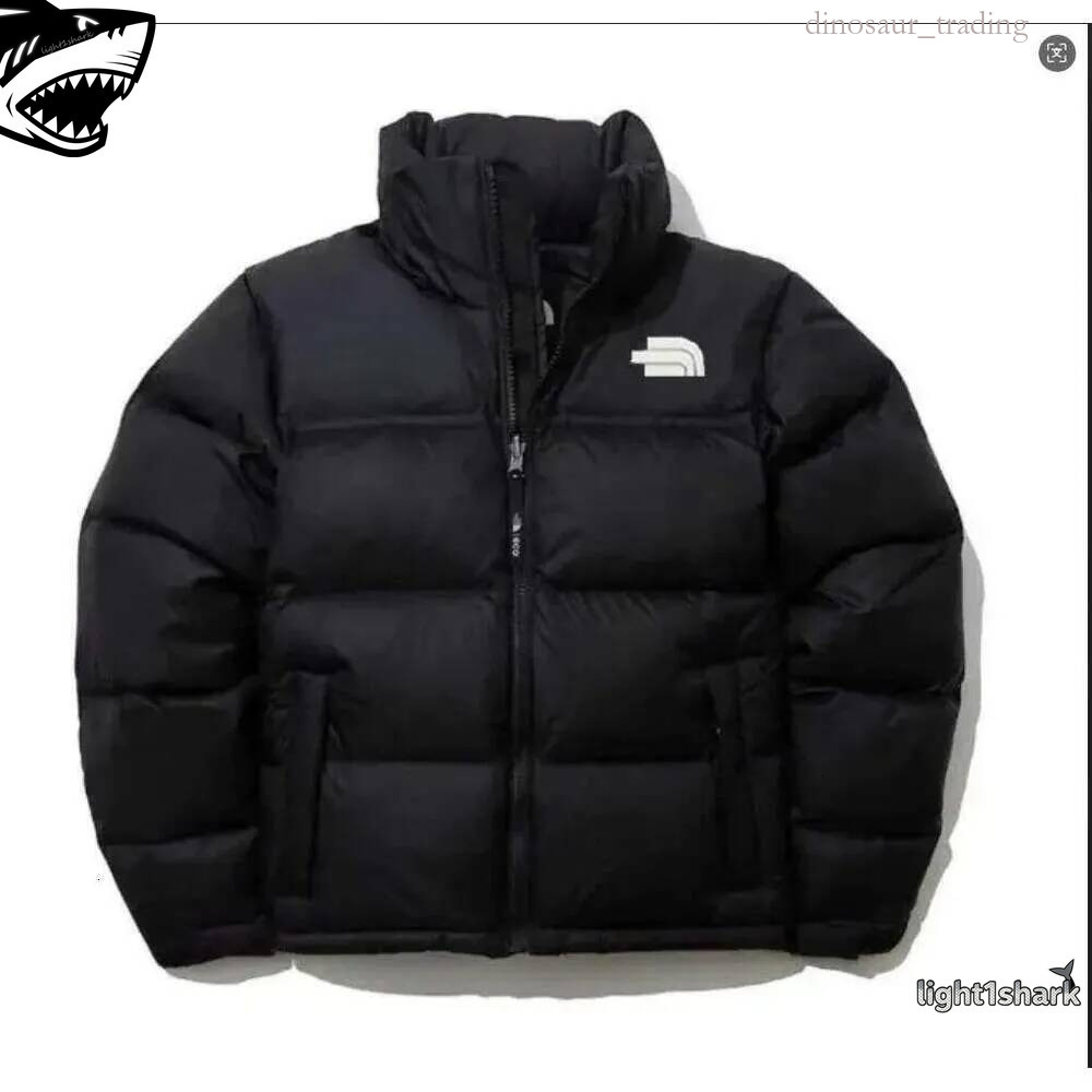thenessity northnessity face700 Designer Jackets With Hood 700 Fill Parka Winter Puffer Retro Fashion Men Women Overcoat Jacket Coat Couple Thick Wa