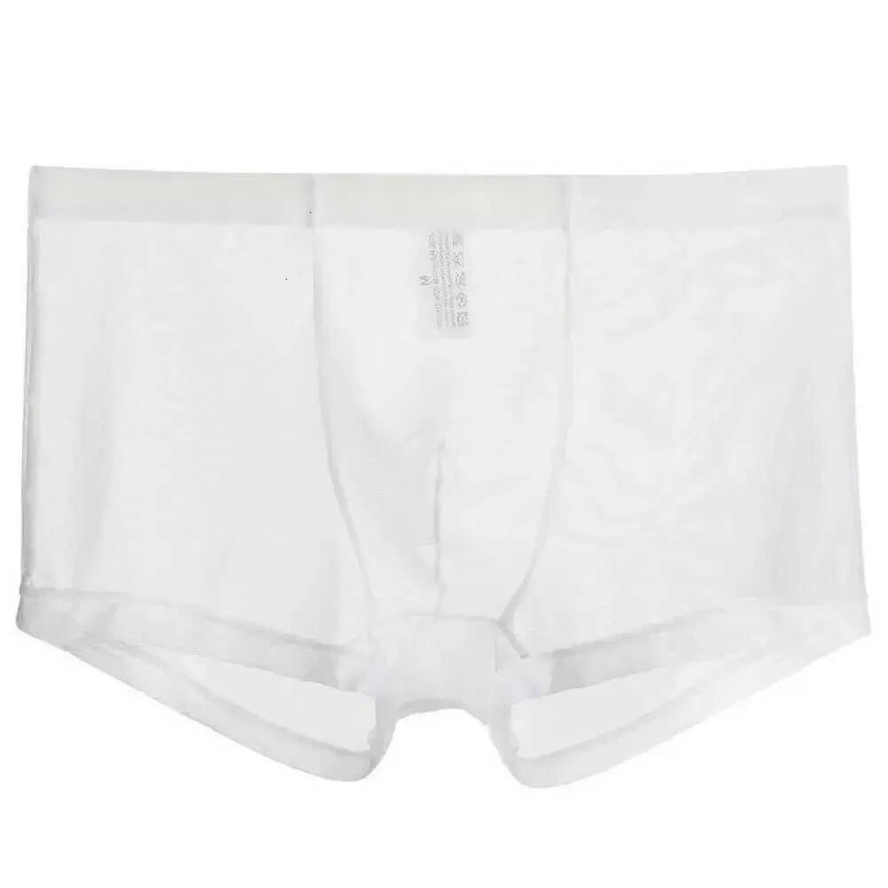 Men's Underwear Low Rise Mens briefs Sexy With Raised Ice Silk Transparent Boxing Ultrathin Underpants