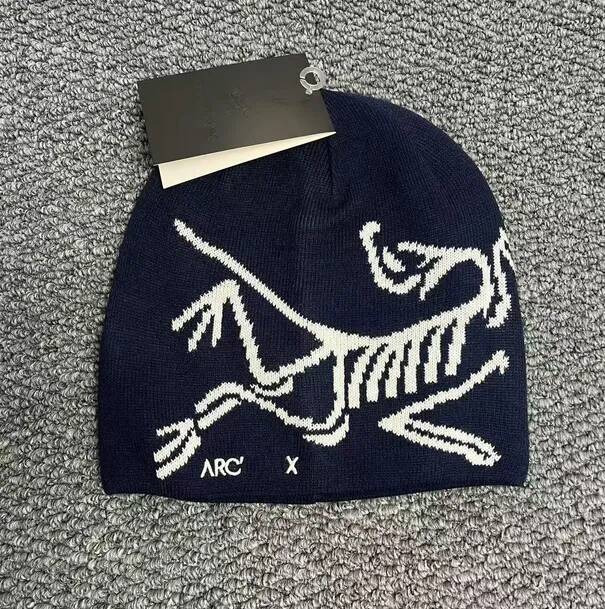 archive Designer beanie classic luxury wool outdoor sports Spring Autumn Winter Keep warm cashmere hat embroidered ancient bird pattern fashion arc