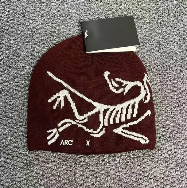 Arc beanie classic luxury wool outdoor sports Spring Autumn Winter Keep warm cashmere hat embroidered ancient bird pattern arc beanie Arcteryxlyness