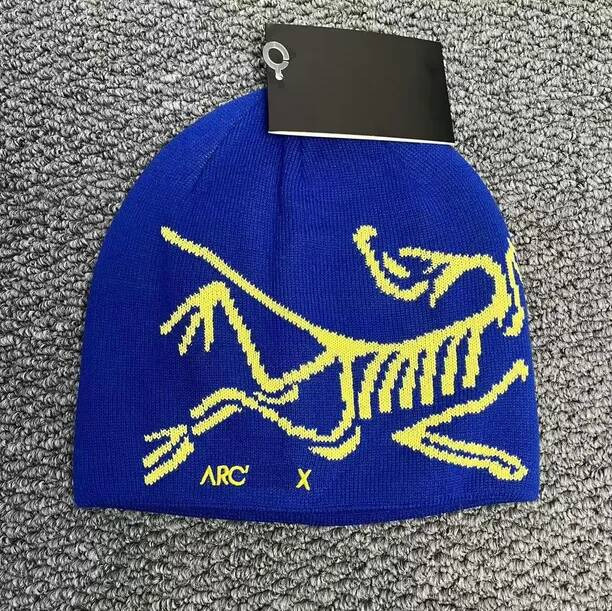 Arc Designer hat beanie classic luxury wool outdoor sports Spring Autumn Winter Keep warm cashmere hat embroidered ancient bird pattern arc beanie a