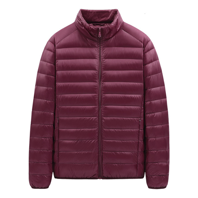Men Short Stand Collar White Duck Down Jacket 2026 Winter New Lightweight Fashion Trendy Warm Puffer Coat Windproof Outerwear For Men Daily Casual W