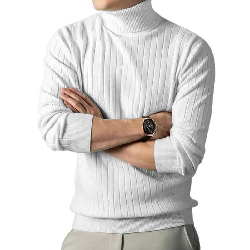 Pullover Men's Casual Striped Turtleneck Warm Knitted Sweater Soft Wool Blend Basic Tops Comfortable Outdoor Daily Knitwea M261016