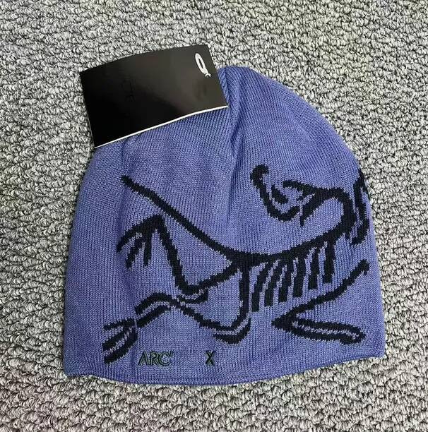 Arc Designer beanie classic luxury wool outdoor sports Spring Autumn Winter Keep warm cashmere hat embroidered ancient bird pattern fashion beanie a