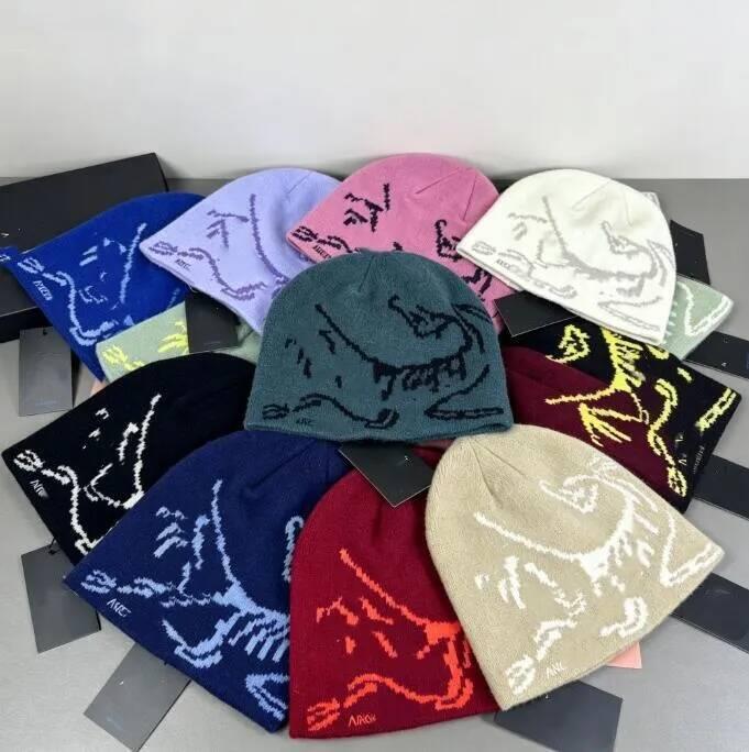Classic Beanie Designer Wool Winter Hat Men Women Luxury Cashmere Bonnet Embroidered Skull Cap Ancient Bird Head Toque Fashion Arc Beanies Autumn Wa