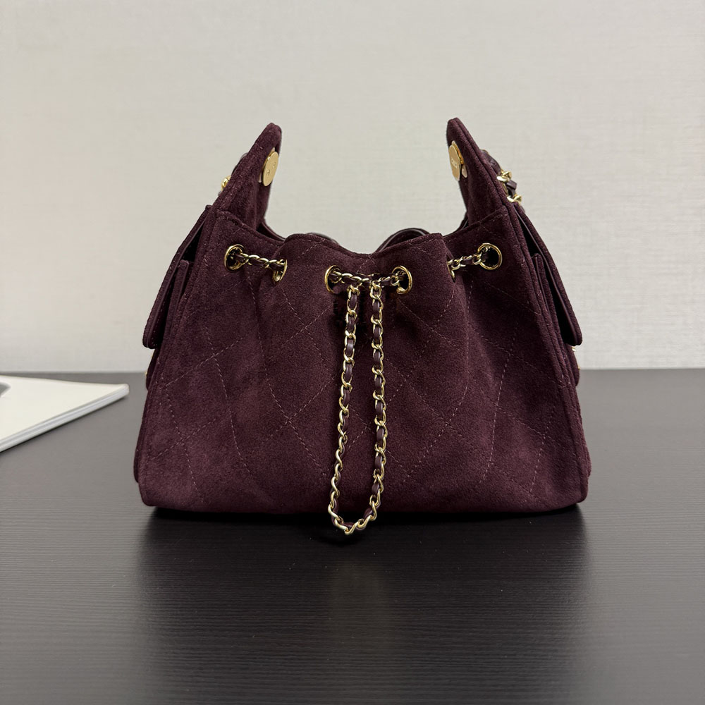 25 Mini Handbag Designer bag Hobo bag Women Shoulder bag Suede 22cm Mirror quality Full set packaging X013A