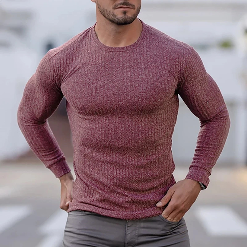 Spring Knitted Sports Long sleeved Mens Slim Fit Round Neck Running T-shirt Men Autumn Casual Gym Training Bodybuilding Tees 240903