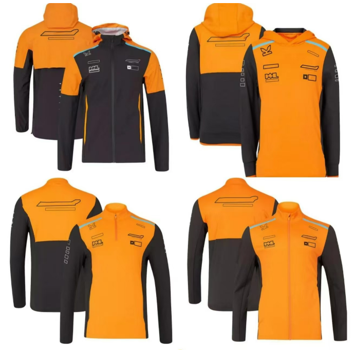 F1 motorsport shirt new team polo shirt short-sleeved shirt customized with the same style-image-673069061