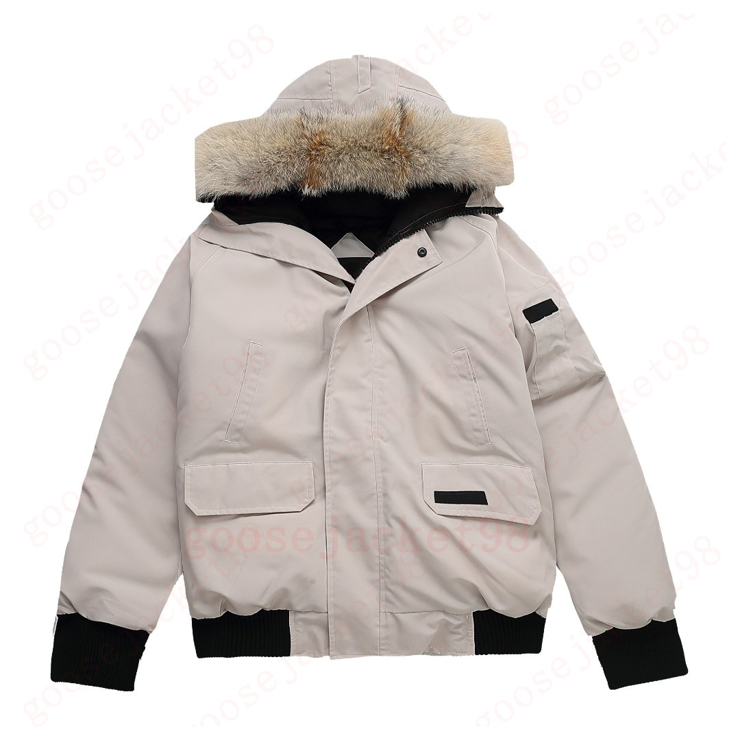 Puffer Designer Goosed Duck Down Jackets Mens Real Coyote Fur Warm Hooded Parkas Windproof Thick Doudoune Hoodie Jacket