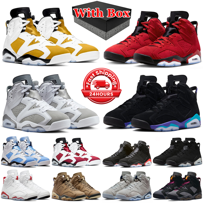 With box 6s jumpman 6 basketball shoes men women Toro Bravo Yellow Ochre Aqua Cool Grey UNC White Metallic Silver Carmine Georgetown mens trainers sports sneakers 