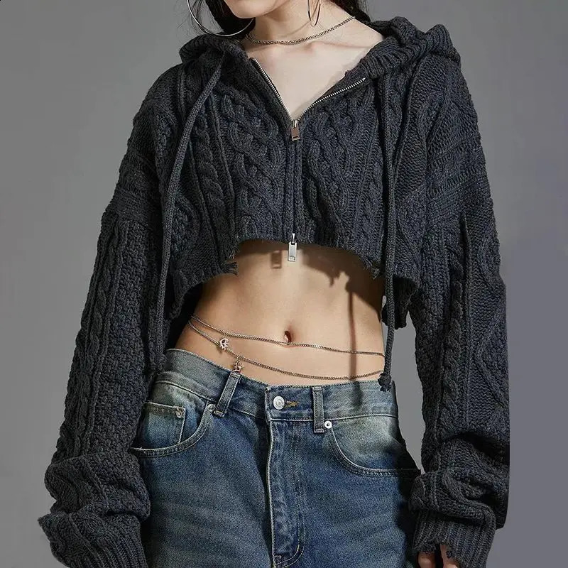Deeptown Y2k Vintage Zipper Women Short Sweaters Crop Korean Fashion Hooded Knitted Cardigan Loose Casual Knitwear Autumn Gyaru 240813