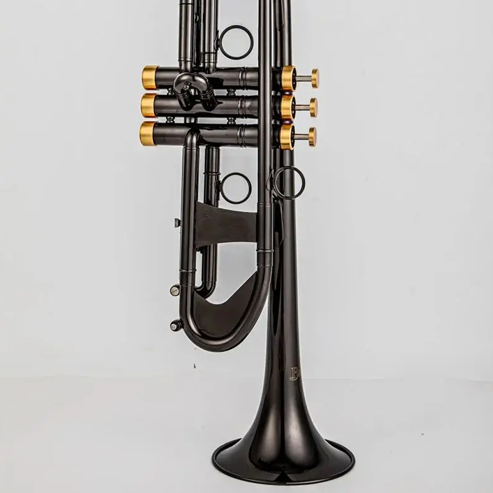 Petite trompette en laiton TR 750 Bb, clé en nickel noir et or, Instruments de musique professionnels avec grande corne, nouvelle collection
