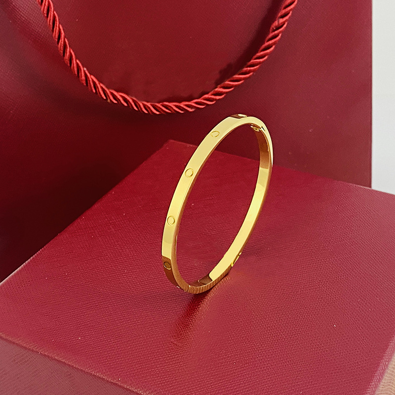 titanium steel 4mm thin spring bracelets 18k gold bracelet designer for woman and man high quality luxury jewelry screw bangle designer couple jewel