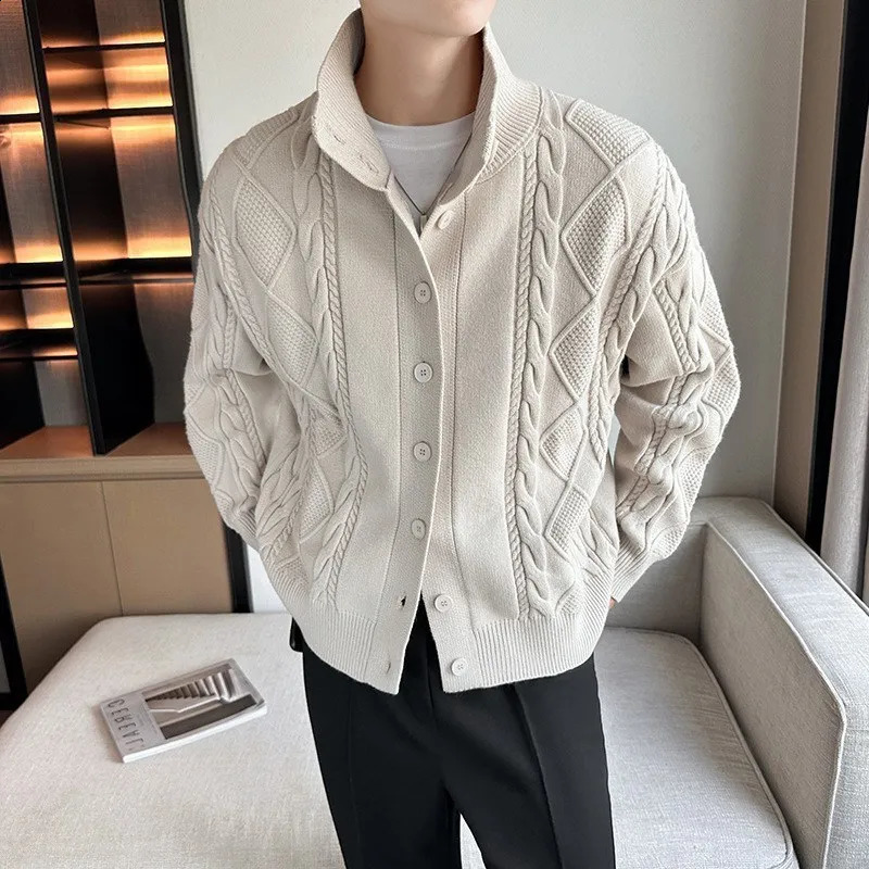 Hommes col montant décontracté Cardigan chandails boutonné câble Jacquard tricoté pull automne hiver mode solide veste zippée 240824