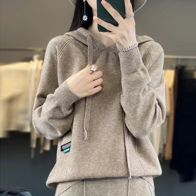 autumn and winter style temperament Andy plush pullover thick hooded loose sweater for womens knitwear 240826