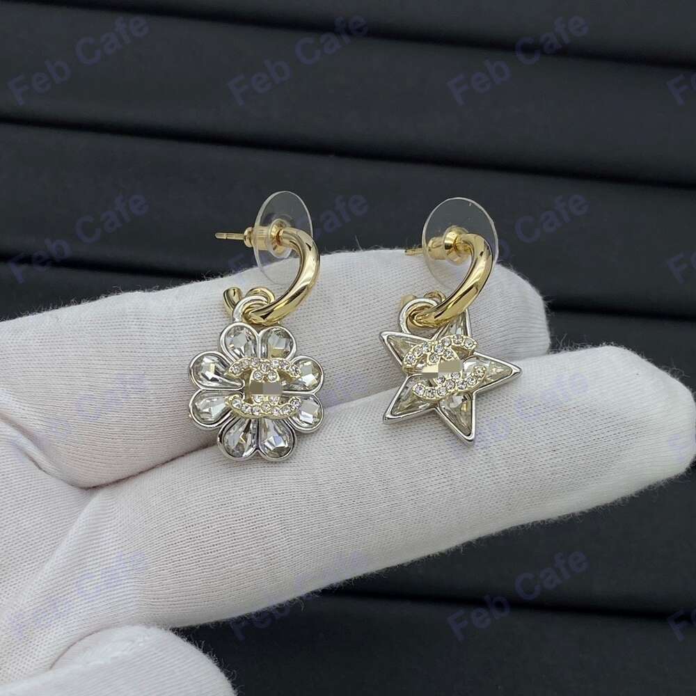 Boucles d'oreilles en argent marque de marque sier boucles d'oreilles étalon boucles d'oreilles mecs femme créateur boucles d'oreille multiplier