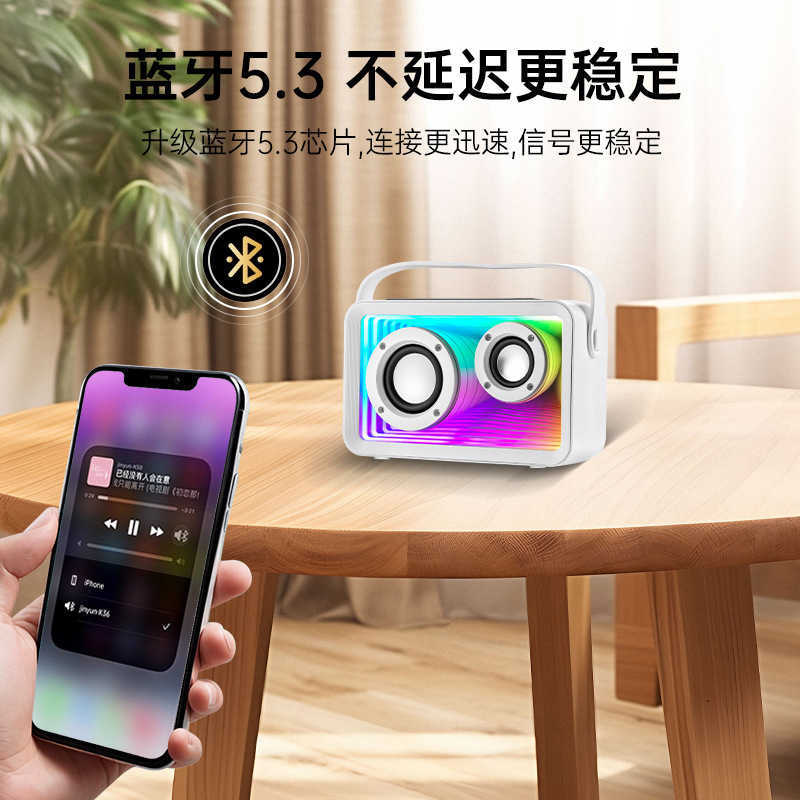 RGB ambient light with double label K-song Bluetooth speaker Outdoor microphone Small home speaker J241220 L260524QVZR-image-1019476901