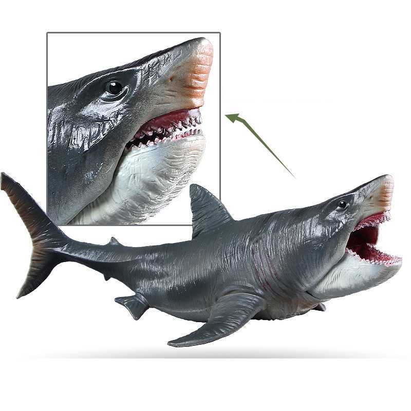 Children's toys Cognitive ocean Megalodon ancient sea animal model shark plastic children's toys L24-image-972973512