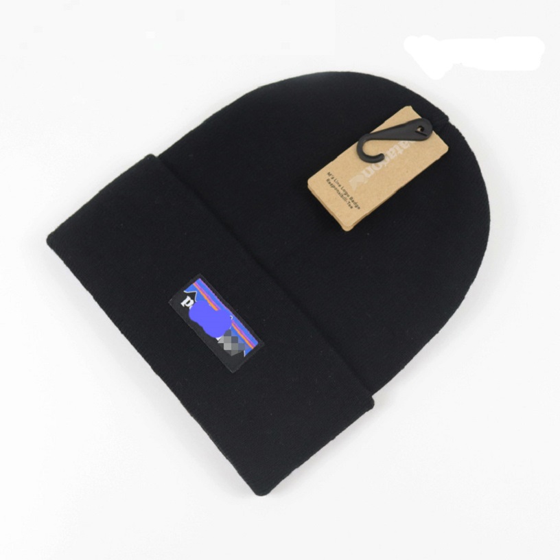 Factory direct e-commerce brand knitted hats wholesale men and women in winter new acrylic warm and cold hats pullover wool hats.
