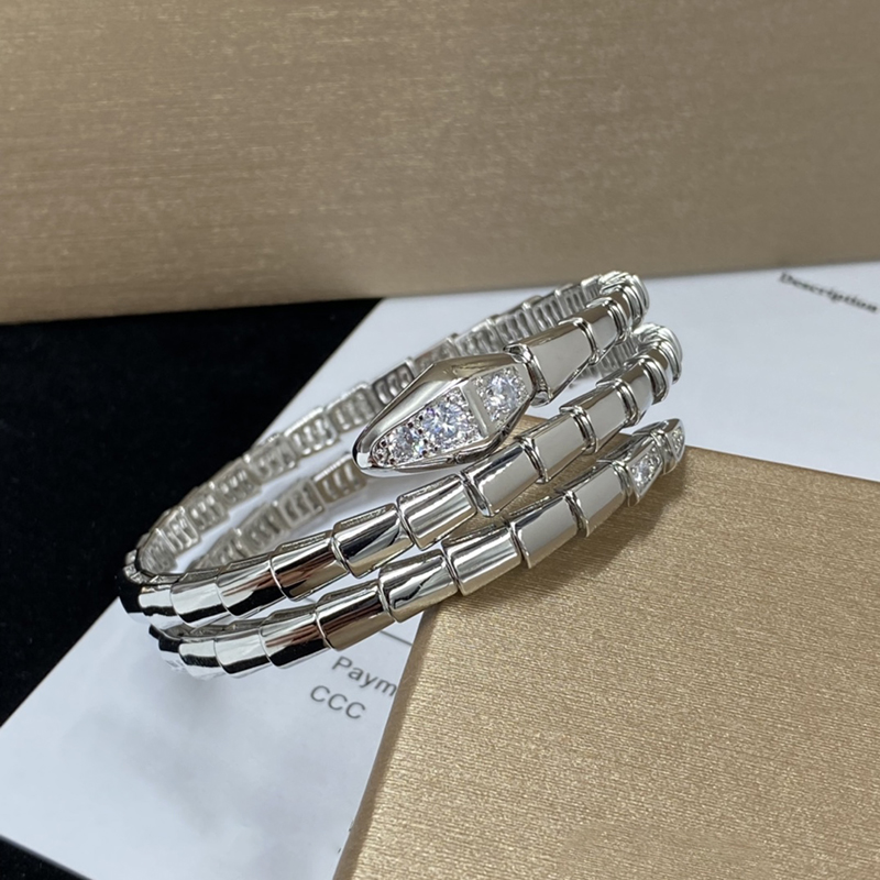 Multi-loop Snake Bangle Jewelry Designer Woman Bracelet Sterling Silver Female Round Hard Bracelet Classic Chain Lady Perfect Gift with Box-image-961504593