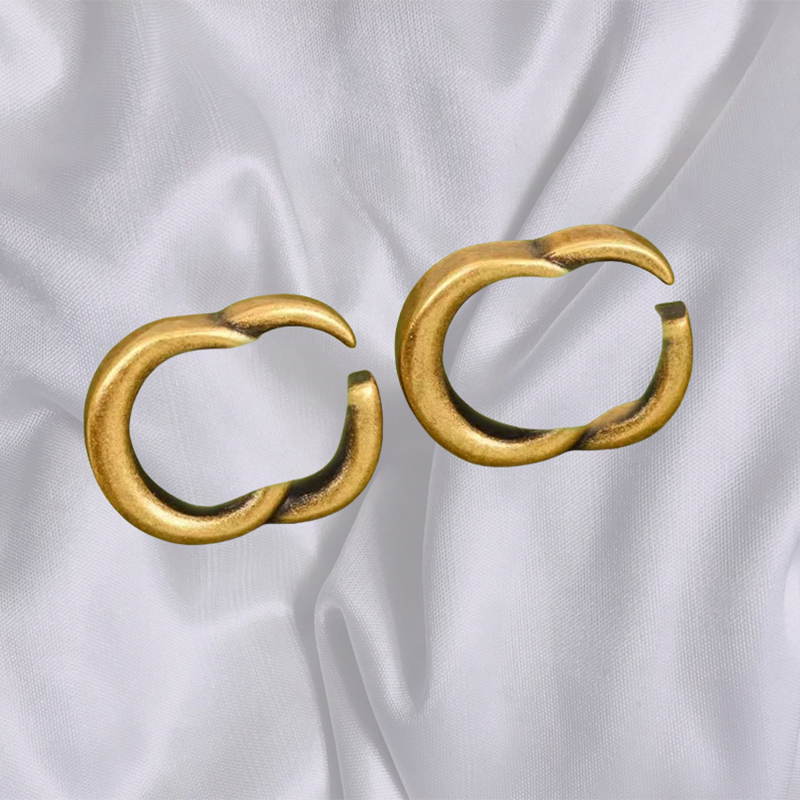 Rigiane des boucles d'oreilles concepteurs pour femmes boucles d'oreilles étalons lettres classiques orecchini designer bijoux de boucle d'oreill