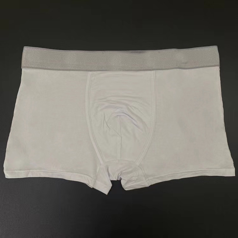 New Men's Swimwear Underwear Boxers Mesh Trend Boxer Shorts Trousers-image-986983611
