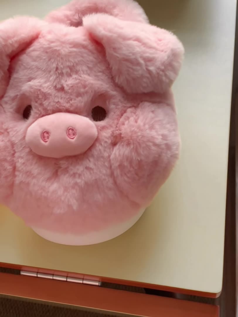 2025 femelle mignon porcelet moelleux de coton moelleux chambre à la maison pour l'hiver intérêt chaud 0eff