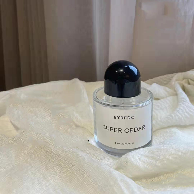 Luxe Designer Cologne Parfums 100ML Femmes Parfum Parfum Floral Eau De Femme Longue Durée Luxe Parfum Spray parfums bateau rapide