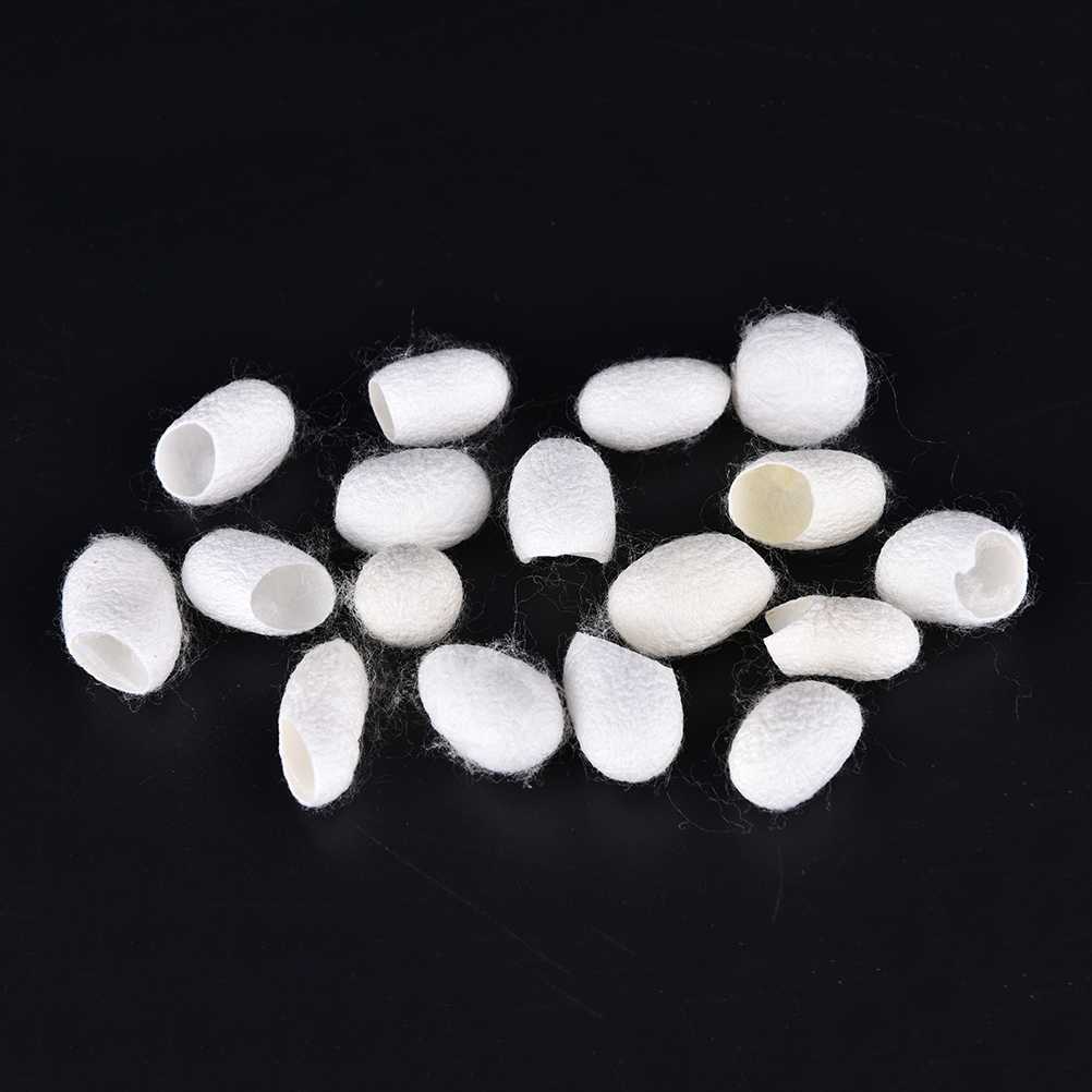 Electric Face Scrubbers 30Pcs Finger cotton pads Natural Silkworm Cocoons Ball Exfoliating Scrub Blackhead Peel Off Face Cleaning L230920-image-904222065