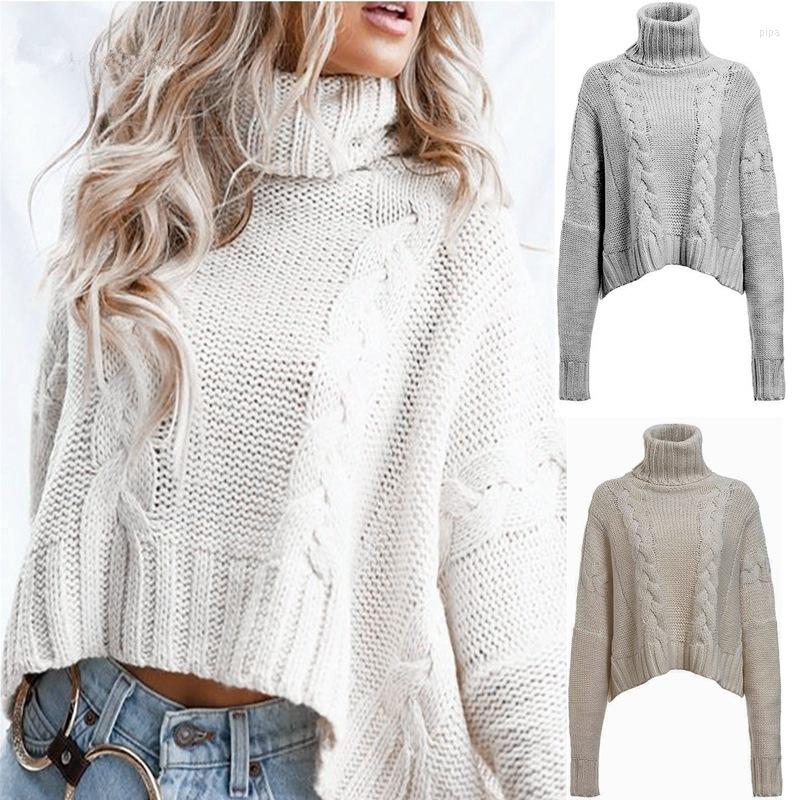 

Women' Polos 2023 Winter Sweater Fried Dough Twist High Neck Short, White