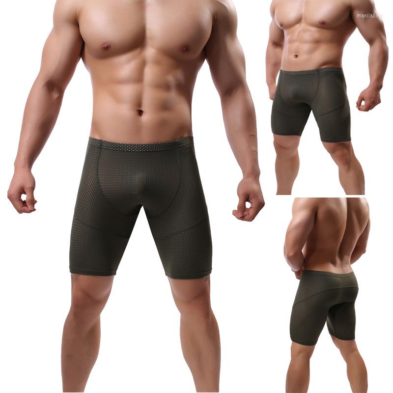 

Underpants Men Cool Summer Elastic Mesh Hole Breathable Boxershorts Trunk Quick-Drying Sexy Underwear Comfy Cueca Multi Colors, Black