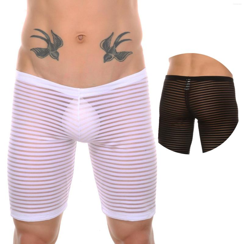 

Underpants Man Long Sexy Lingerie Mesh Boxers For Gay Transparent Silk Underwear Seamless Panties See Through Exotic Shorts Bikini Swimwear, White