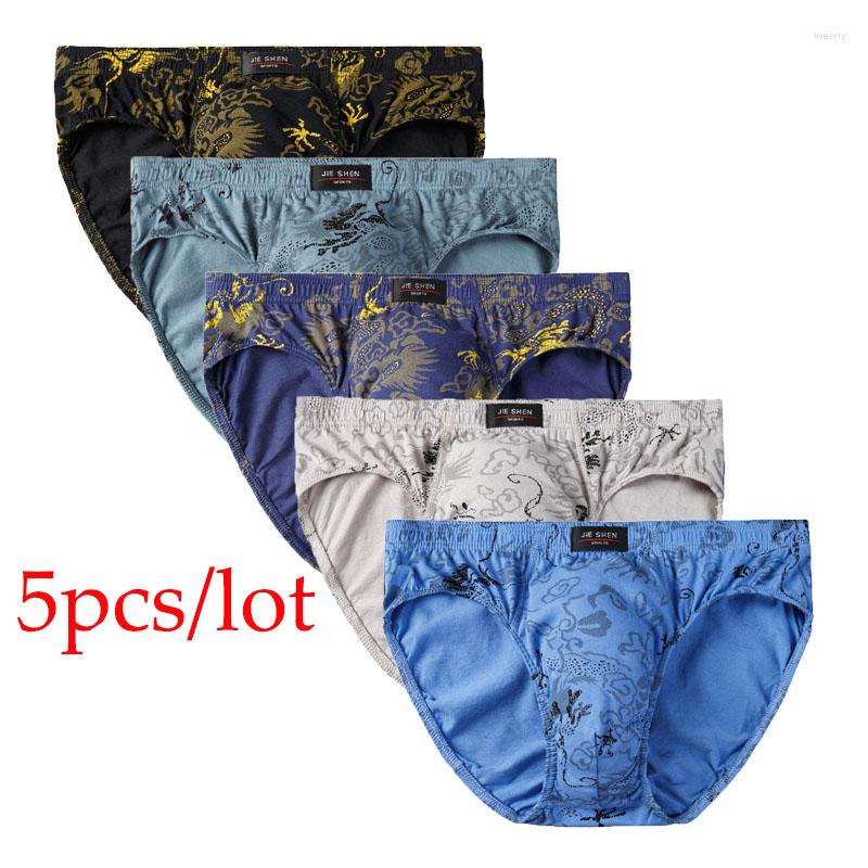 

Underpants 5pcs/Lot Cotton Men Briefs Men's Underwear Male For Panties Mens Pant Shorts Comfortable Sexy Pattern, Blue