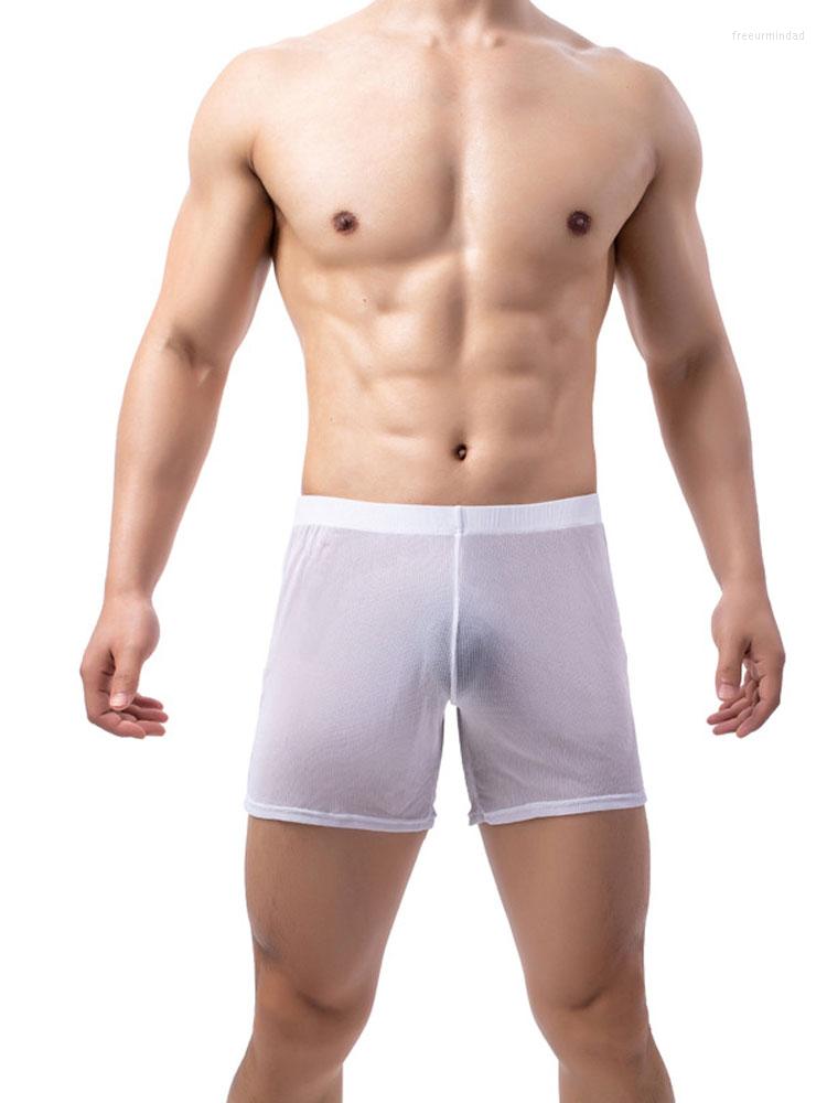 

Underpants Sexy Thin Sheer See Through Men's Panties Underwear Men Mistery Box U Convex Pouch Exotic Lingerie Boxer Shorts, Blue