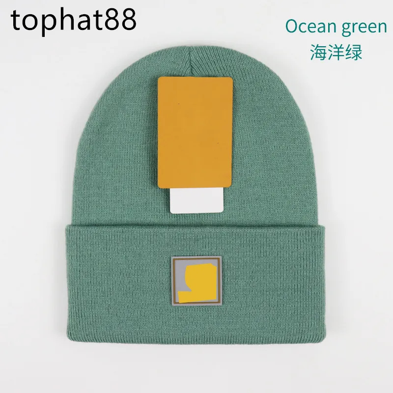 

2023 Mens beanie classic designer carhart spring autumn winter hot style hat south america men and women fashion universal knitted cap autumn outdoor skull caps N1, 13