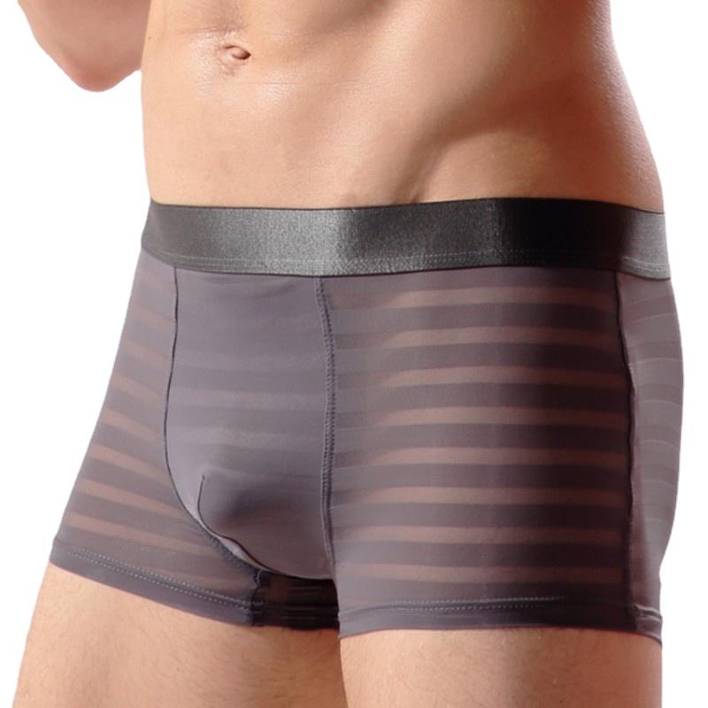 

Underpants Men Boxer Underwear Ultra-thin Ice Silk Boxershorts Sexy Transparent Mesh Male Panties Man Lingerie Intimates, Th05 black
