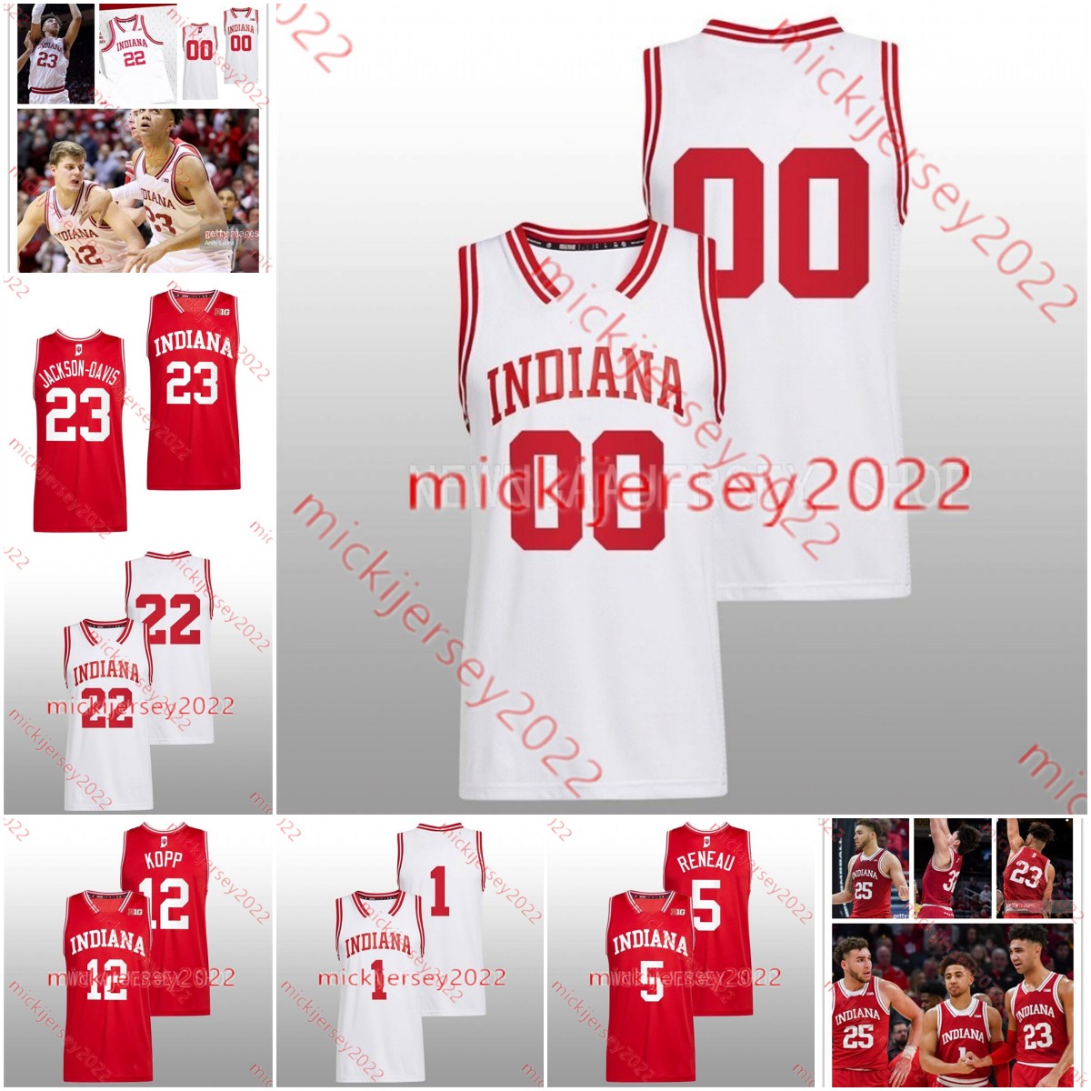 

Malik Reneau Anthony Leal Indiana Basketball Jersey Xavier Johnson Jalen Hood-Schifino Trey Galloway Trayce Jackson-Davis Custom Indiana Hoosiers Jerseys, White