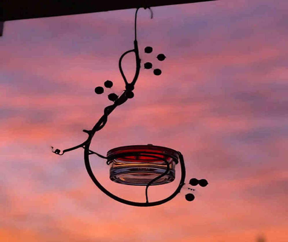 

New Food Box Spatterproof and Splashproof Hummingbird Supplies Bird Drinker Automatic Feeder Drinking Water