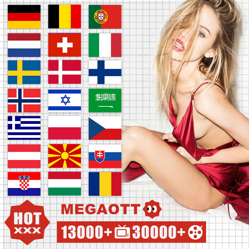 

Mega TV Parts hot sell europe French Germany m3 u xtream code 1year warranty for android smart TV Tablet PC Screen Protectors