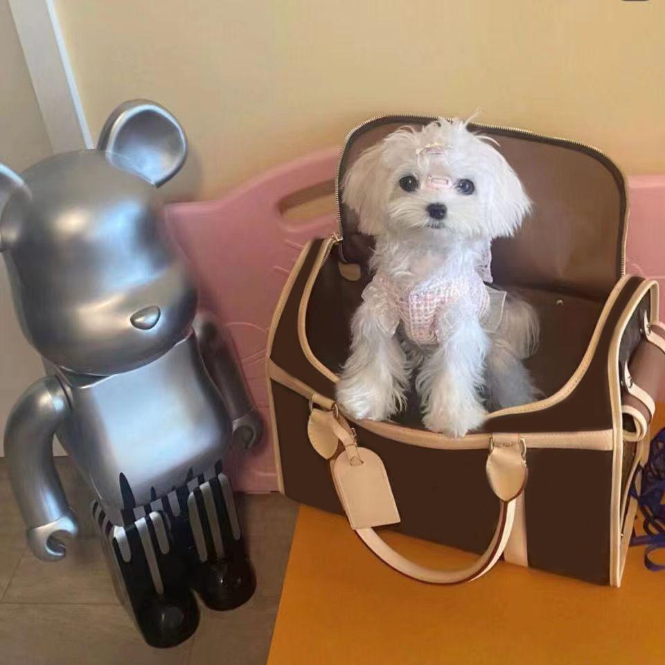 

Genuine Leather Pet Carrier Garden Totes Bag Oversize Duffel Bags Fashiond Dog Carrier Clutch Travelling Bag Printed Pillow Bags, Box