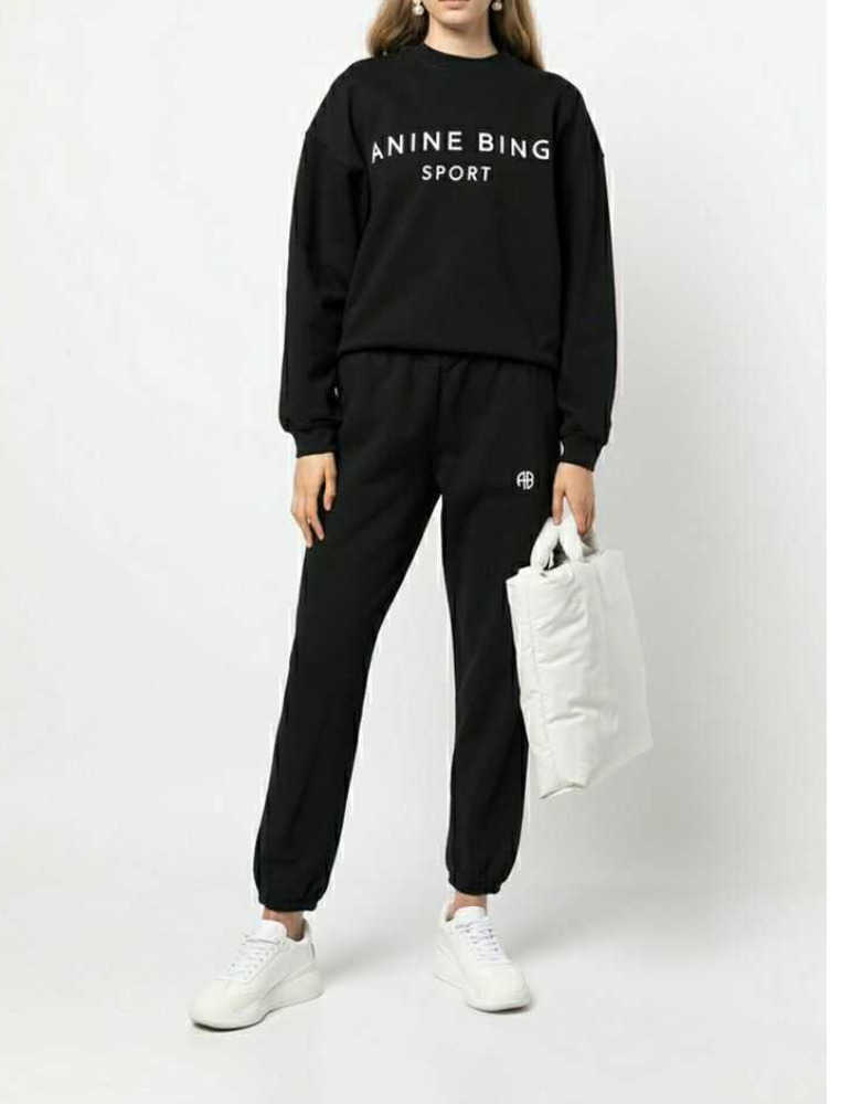 

Anine Bing Women Designer Sweatshirt Letter Sports Leisure Plush Round Neck Sweater Fashion Fleece Pullover Hoodie Motion current 23ess, Grey los angeles