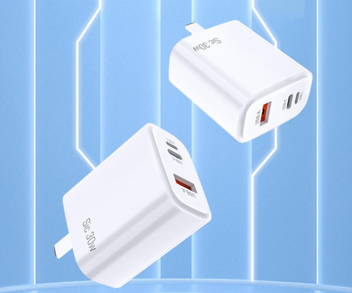 

Reverse Fast Charging Pd 30w Dual Port Usb Wall Usb-a Usb-c/l Charger 30w for iP14 Fast 30w Mini Charger Pd Eu OEM